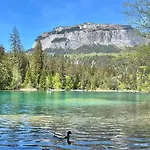 Stenna Selva Direkt Bei Bergbahnen Skipiste * Flims